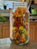 AE8A7DFB-E635-43DF-9852-D5B94F1827911201a